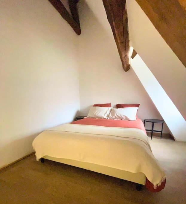 Atypique - Centre Historique - Appartement 2 Chambres Bourges Luaran gambar